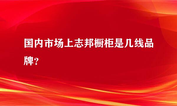 国内市场上志邦橱柜是几线品牌？