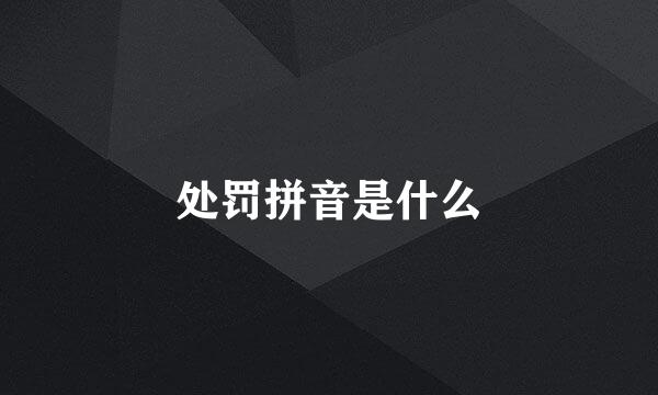 处罚拼音是什么