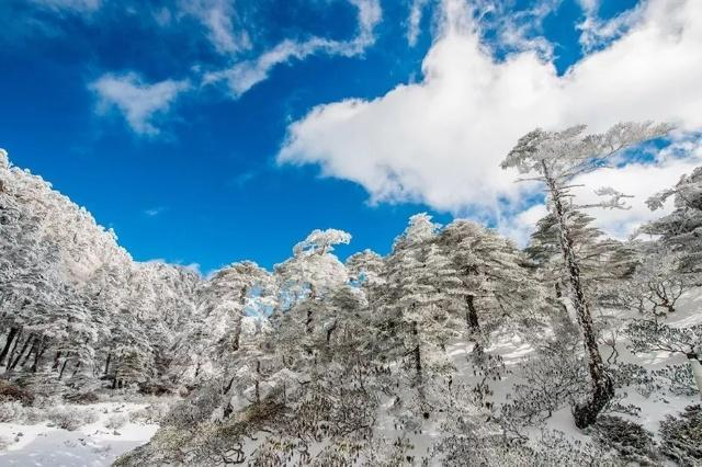 大理常说的“下关风，上关花，苍山雪，洱海月”是什么？