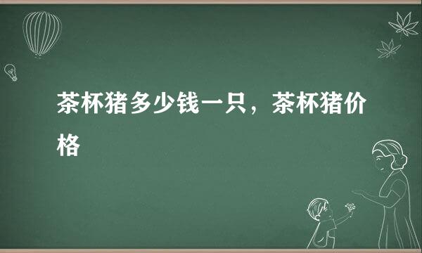 茶杯猪多少钱一只，茶杯猪价格