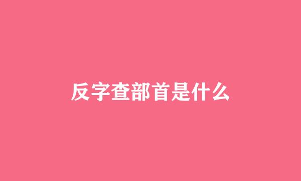 反字查部首是什么