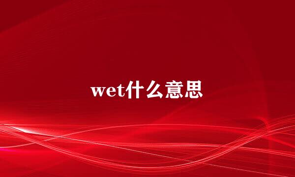 wet什么意思