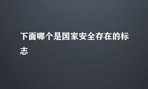 下面哪个是国家安全存在的标志