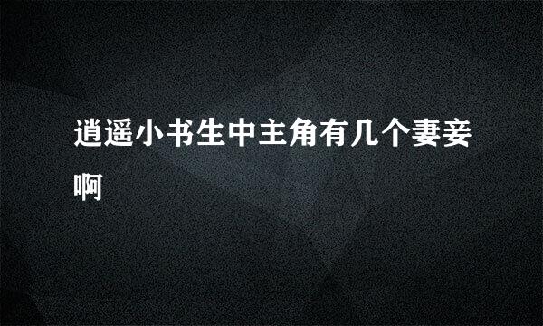 逍遥小书生中主角有几个妻妾啊