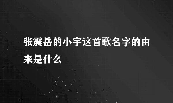 张震岳的小宇这首歌名字的由来是什么