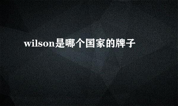 wilson是哪个国家的牌子