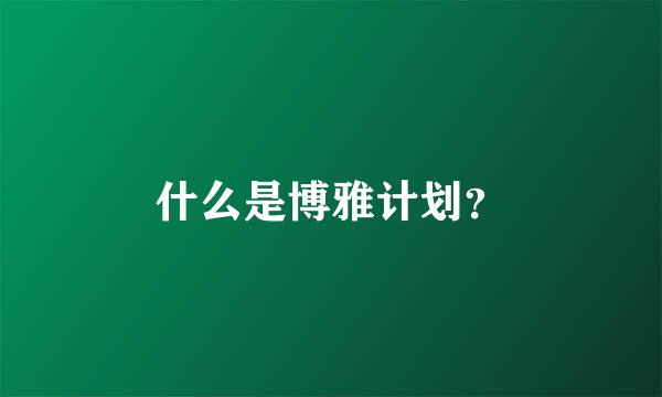 什么是博雅计划？