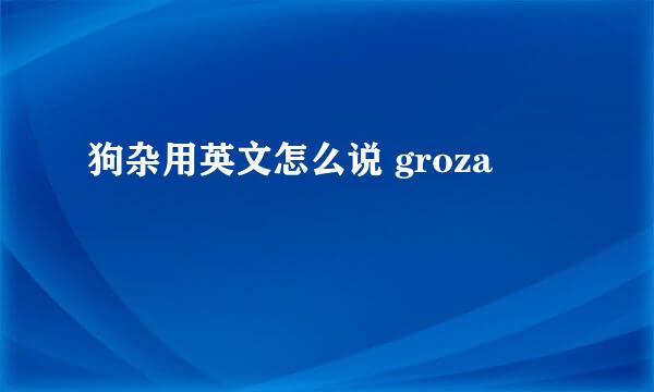 狗杂用英文怎么说 groza