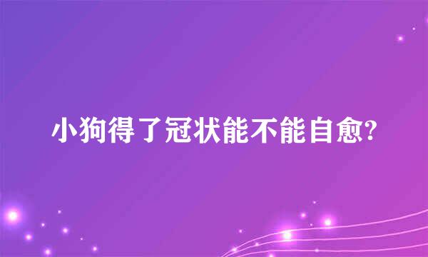 小狗得了冠状能不能自愈?