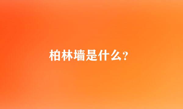 柏林墙是什么？