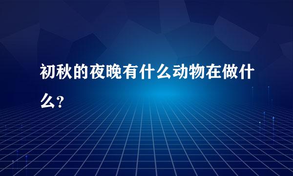 初秋的夜晚有什么动物在做什么？