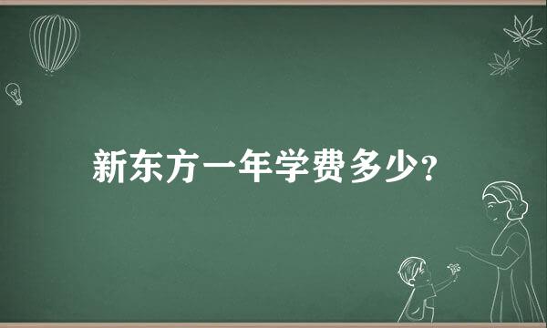 新东方一年学费多少？