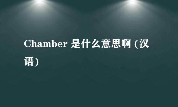 Chamber 是什么意思啊 (汉语)