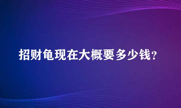 招财龟现在大概要多少钱？