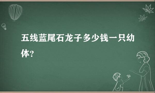 五线蓝尾石龙子多少钱一只幼体？