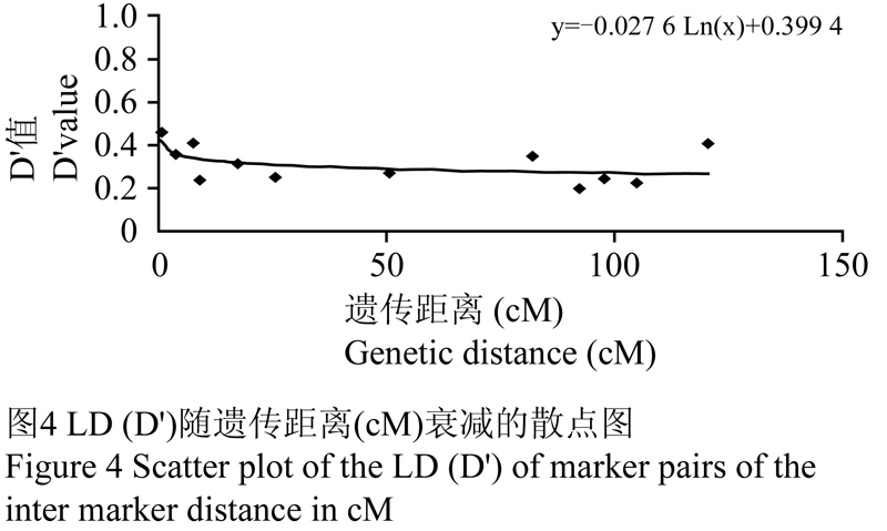 连锁不平衡的解析