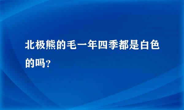 北极熊的毛一年四季都是白色的吗？