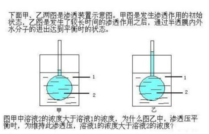 渗透现象名词解释