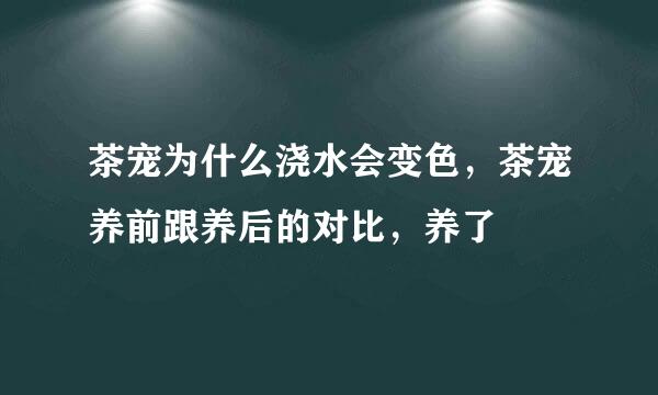 茶宠为什么浇水会变色，茶宠养前跟养后的对比，养了