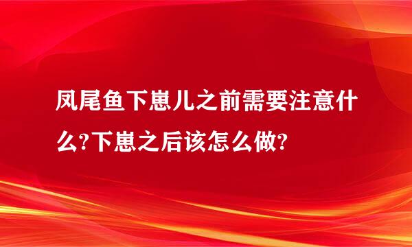 凤尾鱼下崽儿之前需要注意什么?下崽之后该怎么做?