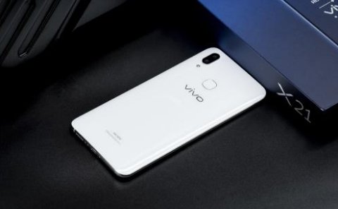 vivo X21的屏幕是多大的？