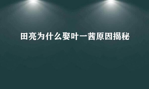 田亮为什么娶叶一茜原因揭秘