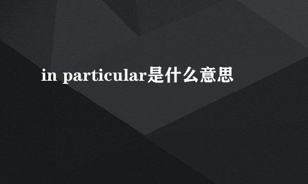 in particular是什么意思