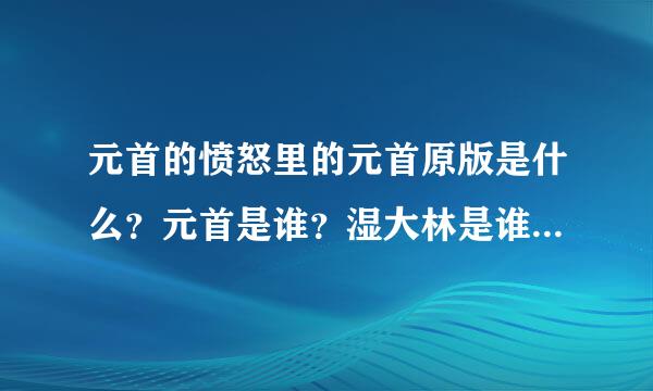 元首的愤怒里的元首原版是什么？元首是谁？湿大林是谁？嫂夫人是谁？