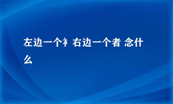 左边一个衤右边一个者 念什么