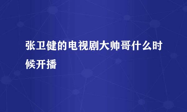 张卫健的电视剧大帅哥什么时候开播