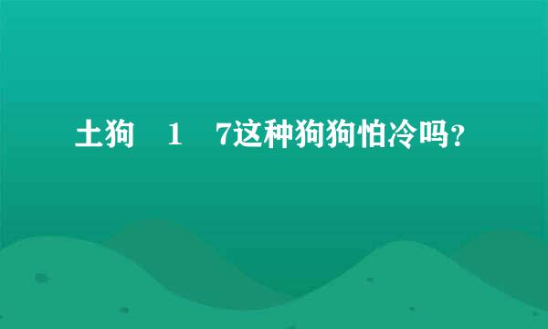 土狗�1�7这种狗狗怕冷吗？