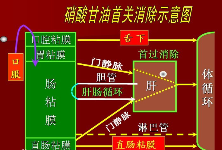 何为“首关消除”名词解释