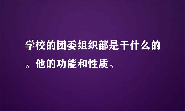 学校的团委组织部是干什么的。他的功能和性质。