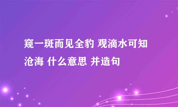 窥一斑而见全豹 观滴水可知沧海 什么意思 并造句