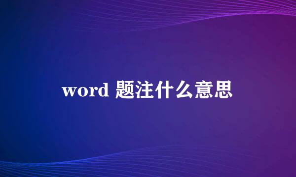 word 题注什么意思