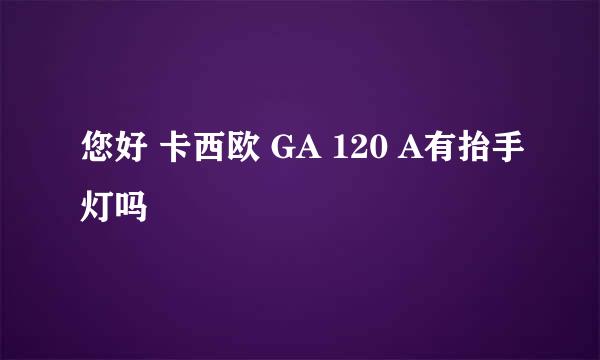 您好 卡西欧 GA 120 A有抬手灯吗