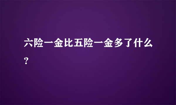 六险一金比五险一金多了什么？