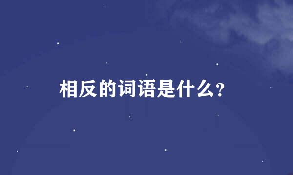 相反的词语是什么？