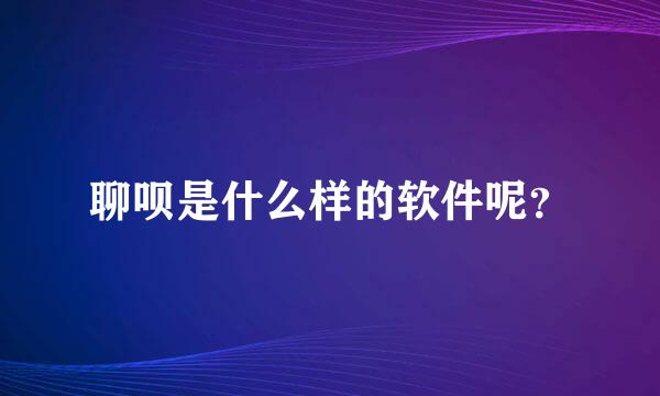 聊呗是什么样的软件呢？