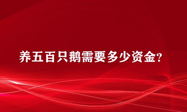 养五百只鹅需要多少资金？