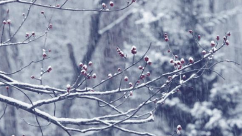 雪崩时没有一片雪花是无辜的原句是什么？