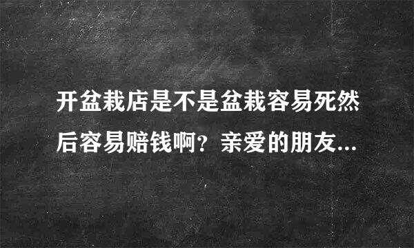 开盆栽店是不是盆栽容易死然后容易赔钱啊？亲爱的朋友吗？大家来发表下意见啊。