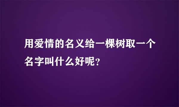 用爱情的名义给一棵树取一个名字叫什么好呢？