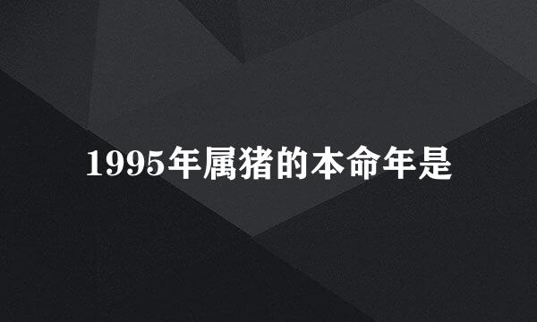 1995年属猪的本命年是