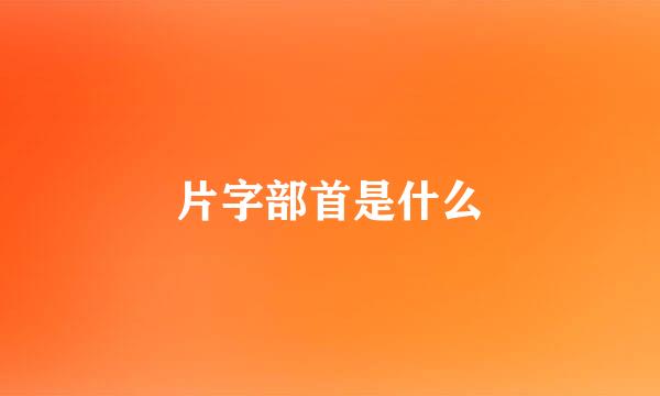 片字部首是什么