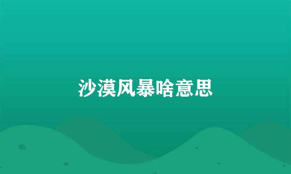 沙漠风暴啥意思