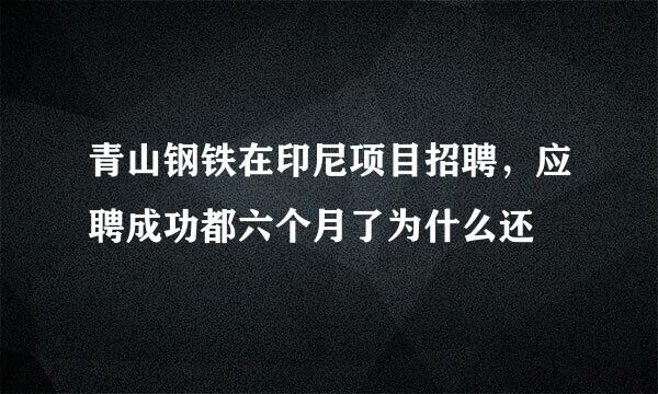 青山钢铁在印尼项目招聘，应聘成功都六个月了为什么还