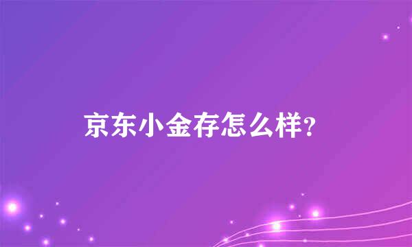 京东小金存怎么样？