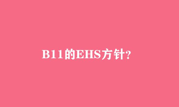 B11的EHS方针？