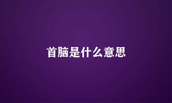 首脑是什么意思